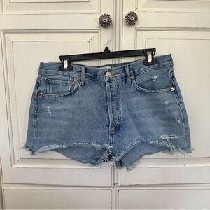 Agolde Parker Denim Jean Shorts